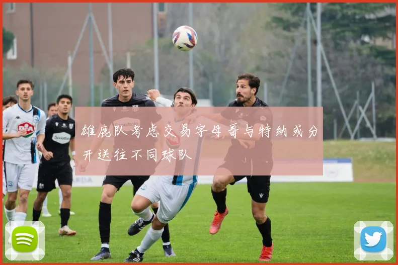 雄鹿队考虑交易字母哥与特纳或分开送往不同球队