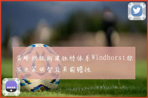 黄蜂积极构建独特体系Windhorst称其决策明智且具前瞻性