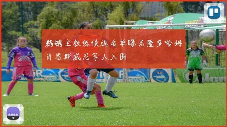 鹈鹕主教练候选名单曝光隆多哈姆肖恩斯威尼等人入围